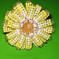 gelb-weiße Perlenblume Zinnie